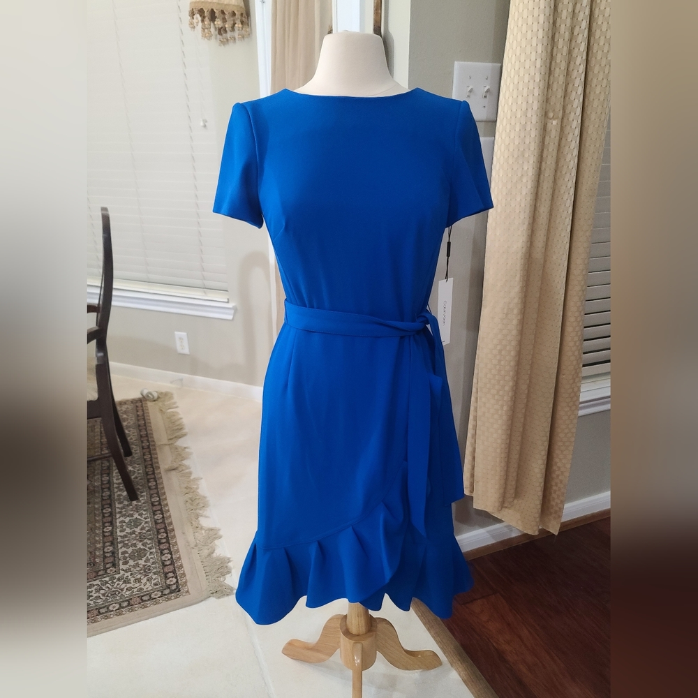 NWT Sz.6 Calvin Klein Ruffle Dress